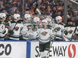 Wild Oilers Hockey