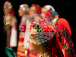 „Драгостин фолк национал“ празнува 30 години на сцената, снимка – „Драгостин фолк национал“ 