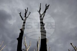 Време - столица