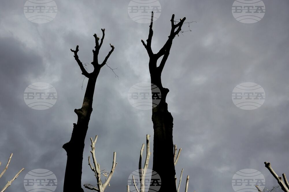 The Weather on December 11
