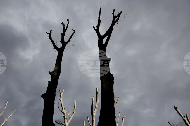 The Weather on December 11