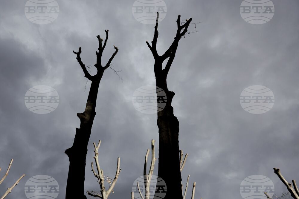 Време - столица