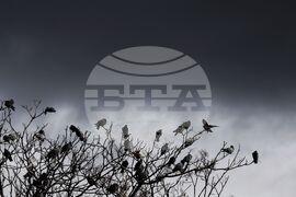 Време - столица