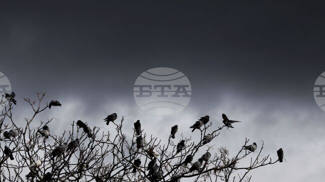 Прогноза за времето