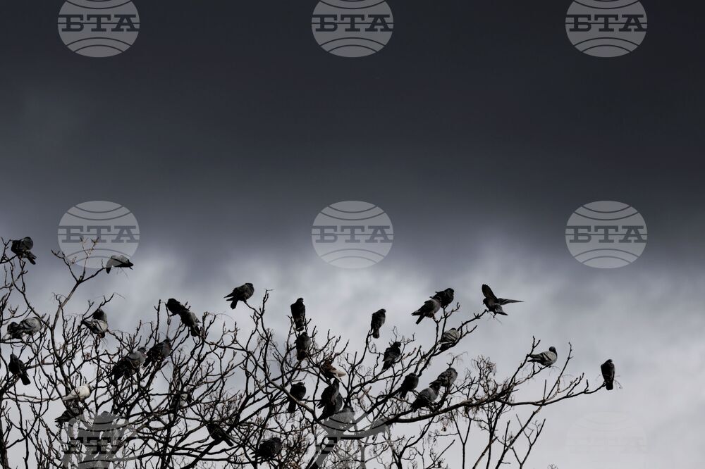 Прогноза за времето