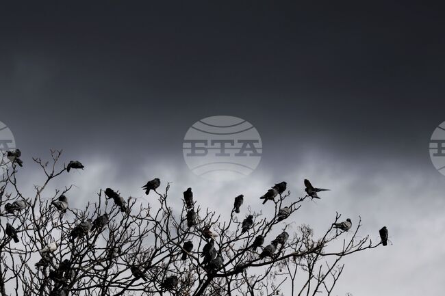 Време - столица