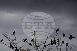 Време - столица