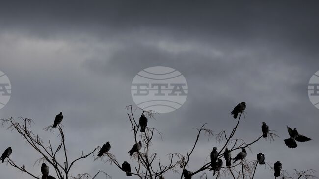 Прогноза за времето