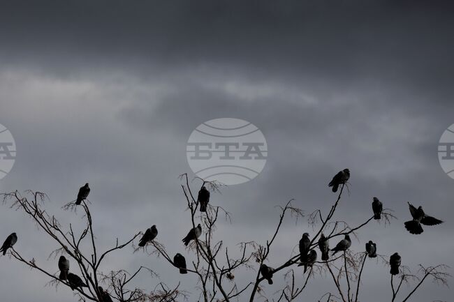 Прогноза за времето