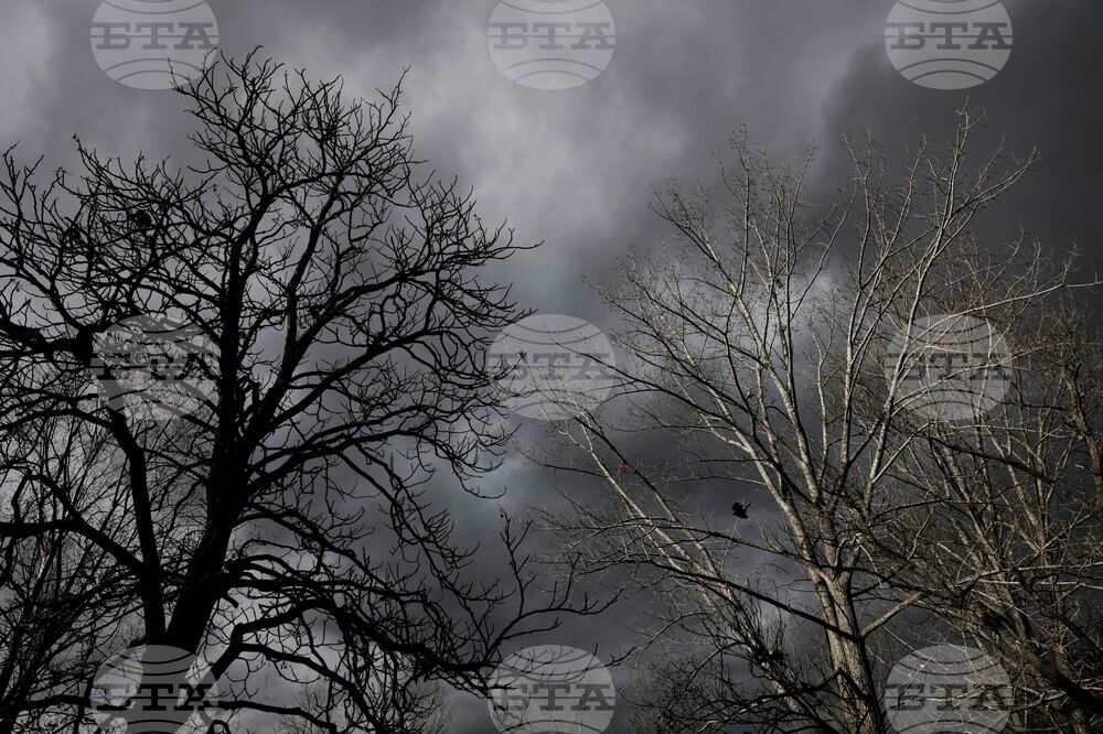 Прогноза за времето