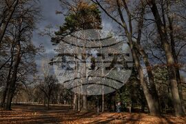 Време - столица