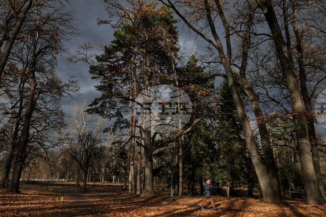 The Weather on January 21