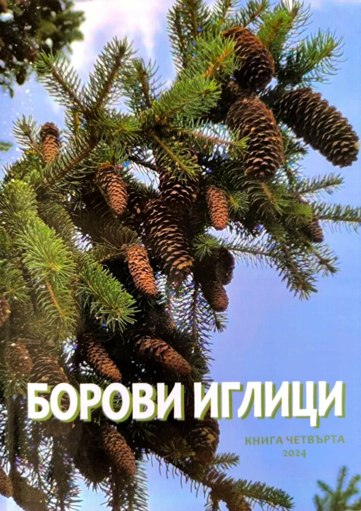 Читалището в Борово издаде пореден сборник със стихотворения на автори, свързани с града