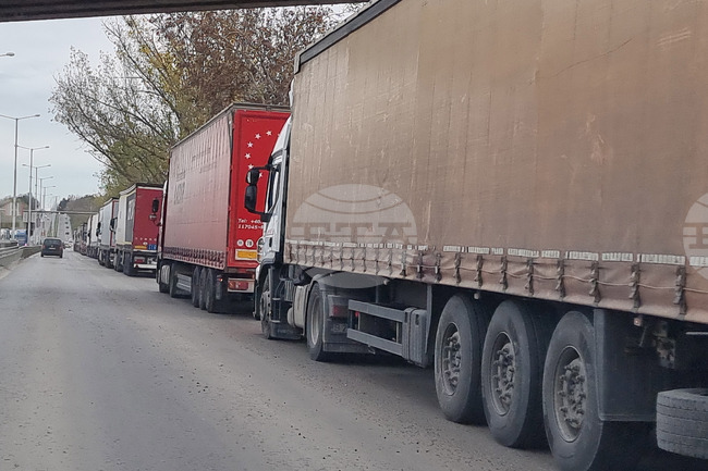 Превозвачите в Босна и Херцеговина започнаха протест заради високите мита и бюрократичните пречки