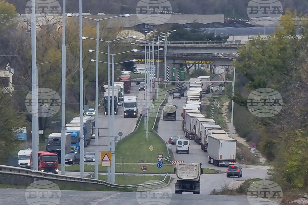 Превозвачите, които не са готови за общата европейска Система за контрол на вноса, могат да заявят отлагане до края на март