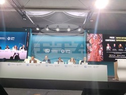 "Грийнпийс"- СОР29