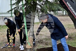 Пловдив - Първа копка на мемориален парк