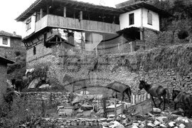 Село Ковачевица