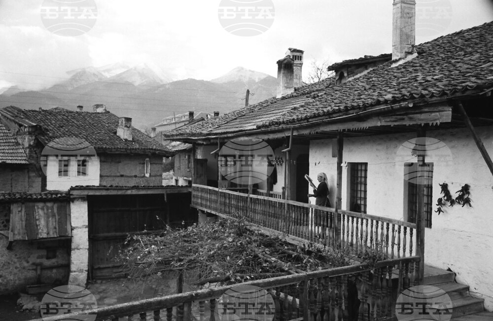 Observances: November 26