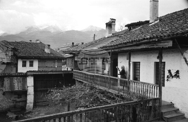 Observances: November 26