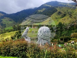 Колумбия - Долината Кокора - восъчни палми