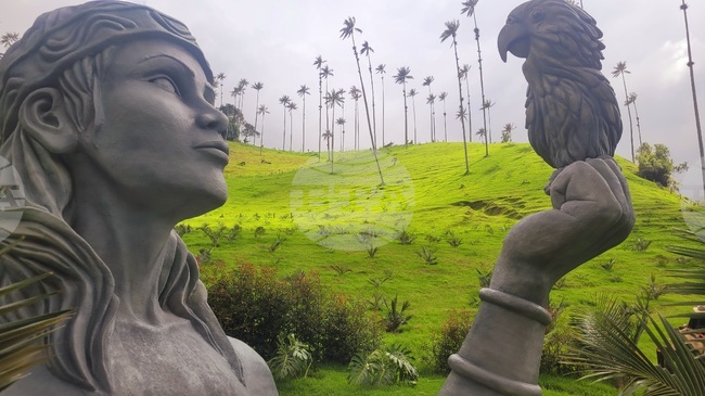 Колумбия - Долината Кокора - восъчни палми