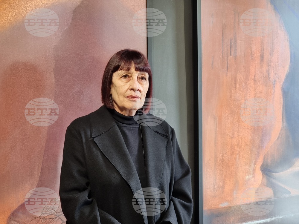 В картината най-важни са сюжетът, образът и внушението, каза художничката Десислава Минчева