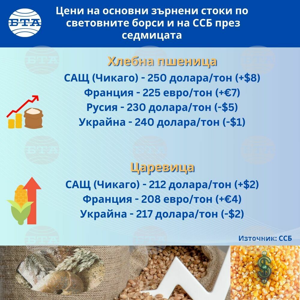 Раздвижване в цените на основните зърнени култури по световните борси отчитат експертите на ССБ тази седмица