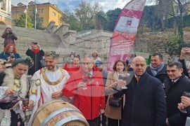 Пловдив - „Дефиле на младото вино 2024“