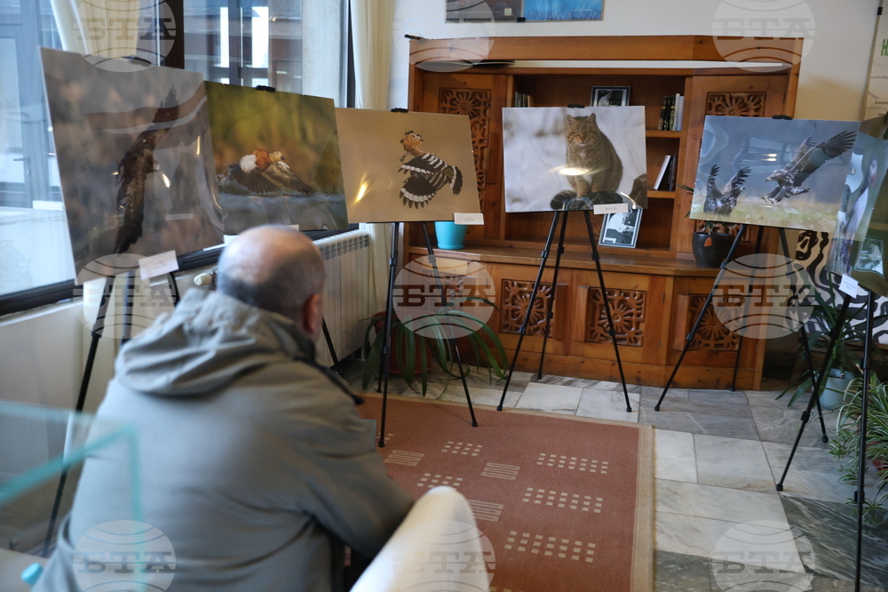 Банско - „Банско филм фест 2024“