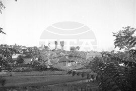 Празник на Кнежа