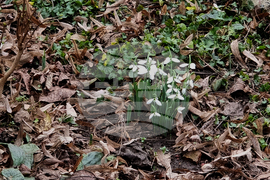 Видин - топло време