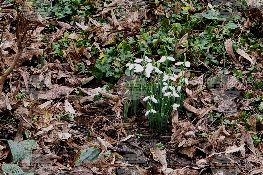 Видин - топло време