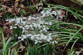 Видин - топло време