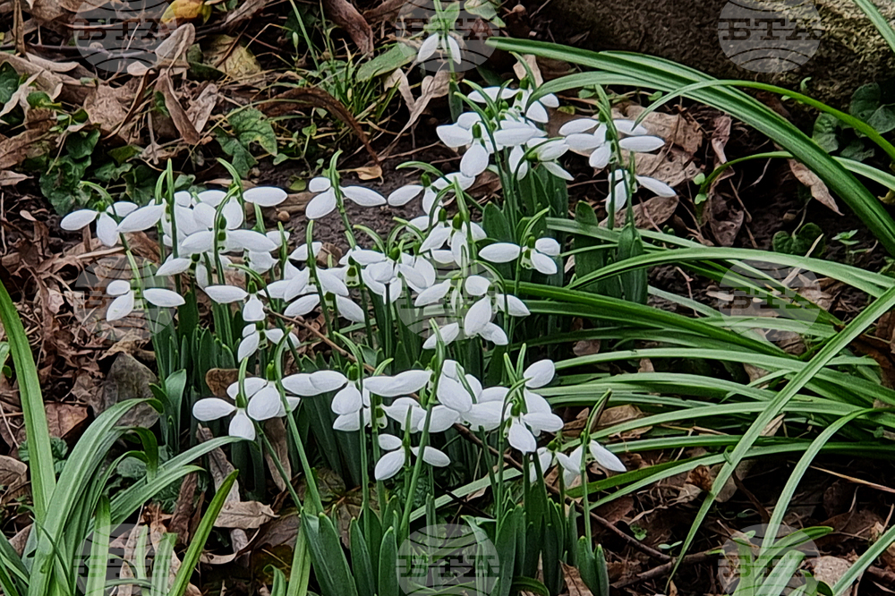 Видин - топло време