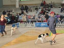 Снимка: Община Стара Загора