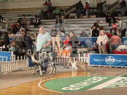 Снимка: Община Стара Загора