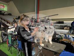 Снимка: Община Стара Загора