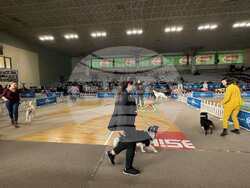 Снимка: Община Стара Загора