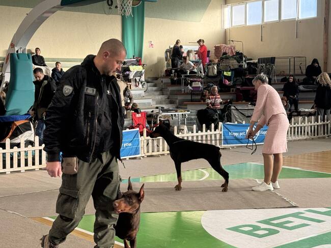 Стара Загора e домакин на престижна международна киноложка изложба с участието на 800 кучета 