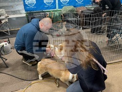 Снимка: Община Стара Загора