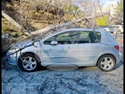 Снимка: Община Стара Загора