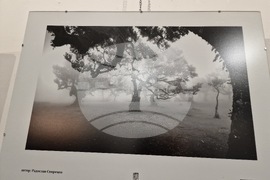 Самоков - Национална награда за фотографско изкуство "Анастас Карастоянов" - Райна Власковска