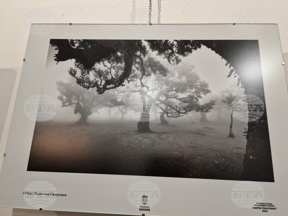Самоков - Национална награда за фотографско изкуство "Анастас Карастоянов" - Райна Власковска