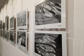 Самоков - Национална награда за фотографско изкуство "Анастас Карастоянов" - Райна Власковска