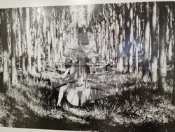 Самоков - Национална награда за фотографско изкуство "Анастас Карастоянов" - Райна Власковска