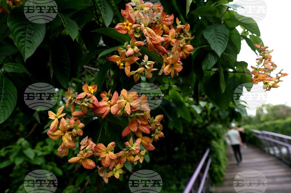 Сингапур - изглед - ежедневие