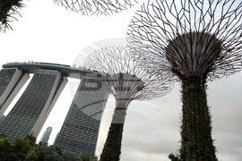 Сингапур - изглед - ежедневие