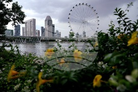 Сингапур - изглед - ежедневие