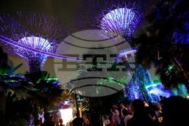 Сингапур - изглед - ежедневие